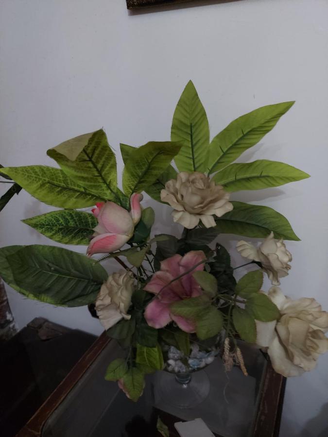 Al Moayad Apartment Near To Genina Mall, Abbas Al Akkad Il Il Cairo Esterno foto